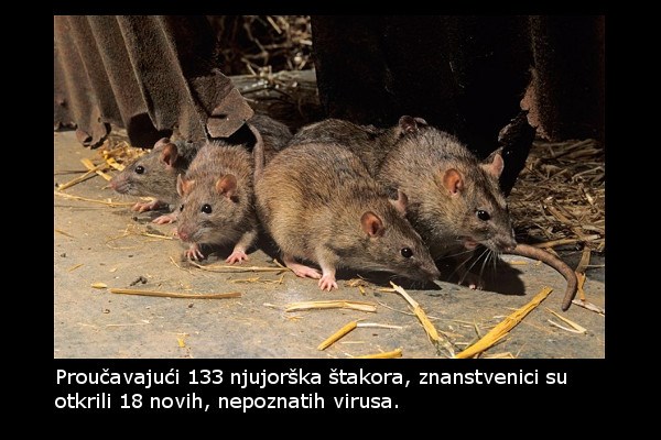 Od ove vijesti ćete se naježiti