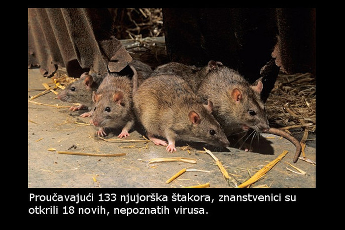 Od ove vijesti ćete se naježiti