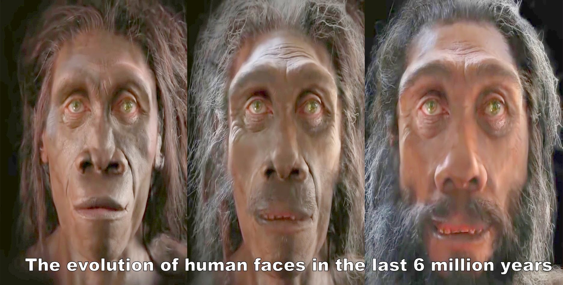 Evolucija ljudskog lica kroz šest milijuna godina - u jednoj minuti