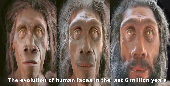 Evolucija ljudskog lica kroz šest milijuna godina - u jednoj minuti