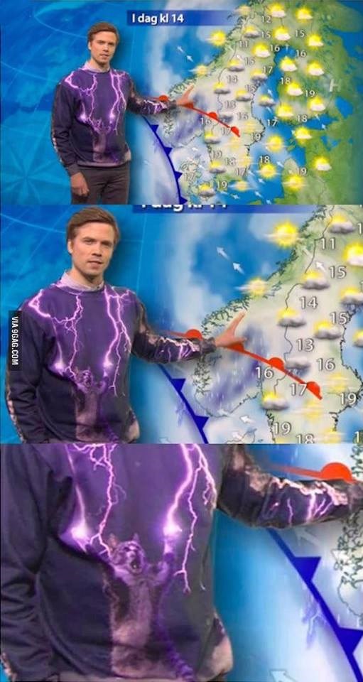 Švedski voditelj prognoze javno štuje Gromovitu Mačku, Thor uvrijeđen!