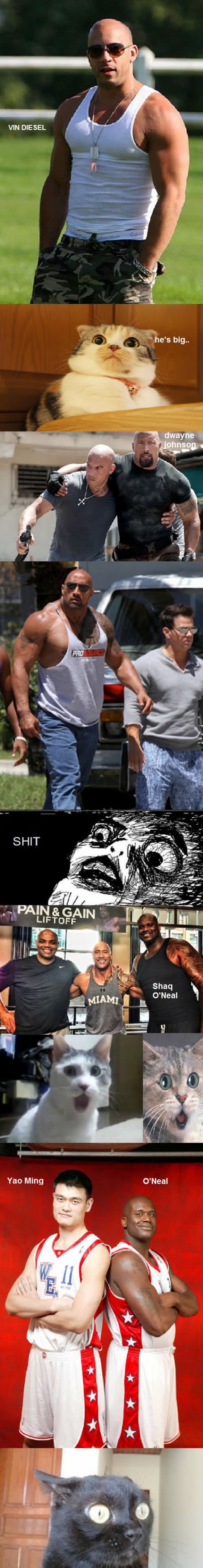 Vin Diesel i konkurencija: Tko je najveća mrcina?