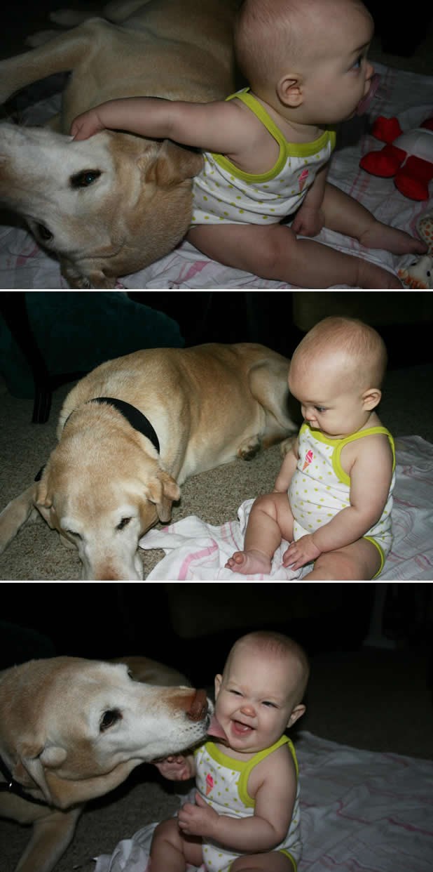 Nabavi djetetu peseka i svi ste sretni do kraja života