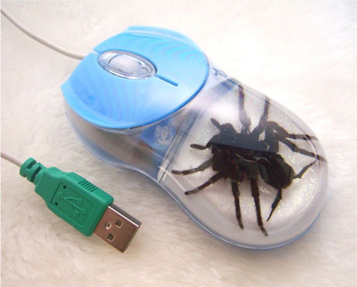 Kako ženu odviknuti od interneta