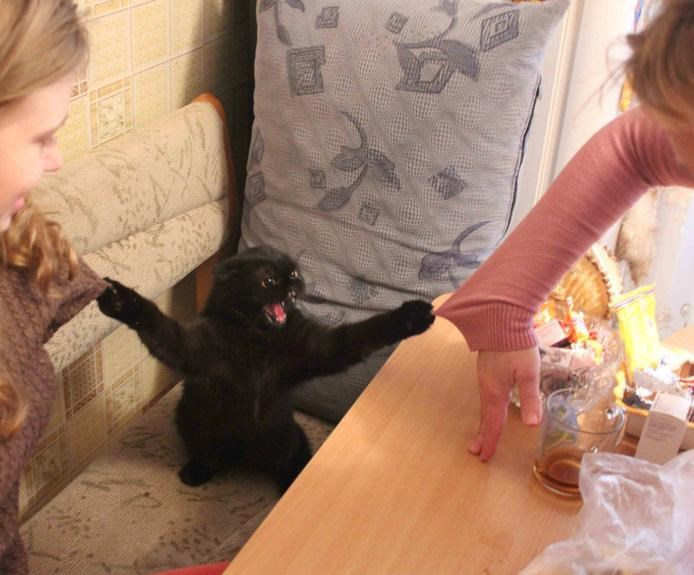 Dosta više ili šamaram oboje, ne budite zvijer u meni!