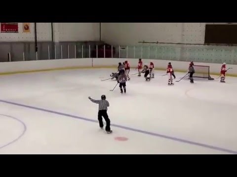 Rat na ledu: Ruskinja palicom brutalno odvalila Amerikanku