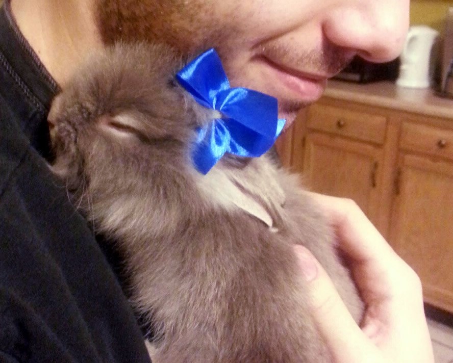 Zekica dobila novi topli dom i mirno sanja