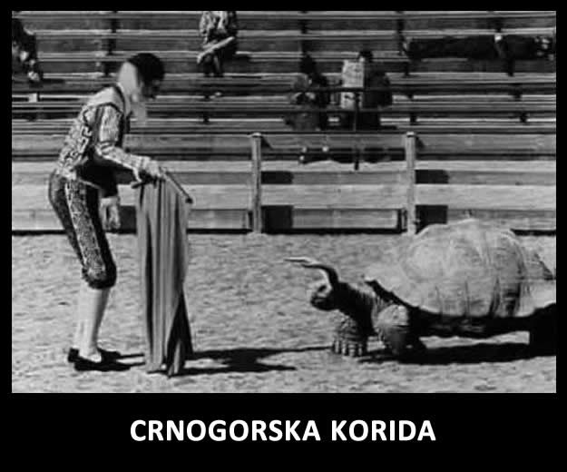 Crnogorska korida - i dalje bolje od naših tekmi