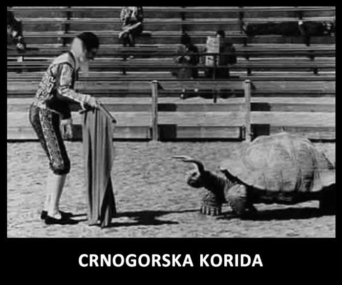Crnogorska korida - i dalje bolje od naših tekmi