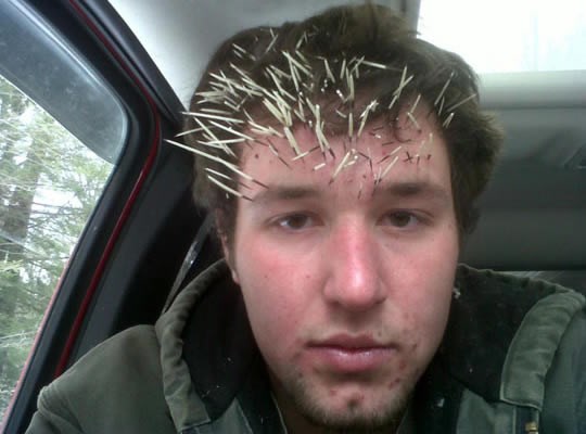 Kad guraš glavu u rupu u drvetu, a nešto te ubode