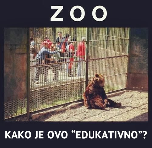 Pakao zoo vrtova: Ovo je prizor za vašu djecu?