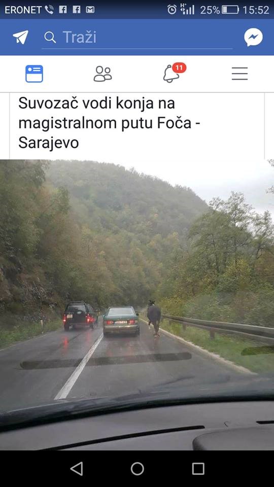 U Bosni slikao najčudniji prizor ikad, pogledajte što je ugledao ispred sebe na cesti