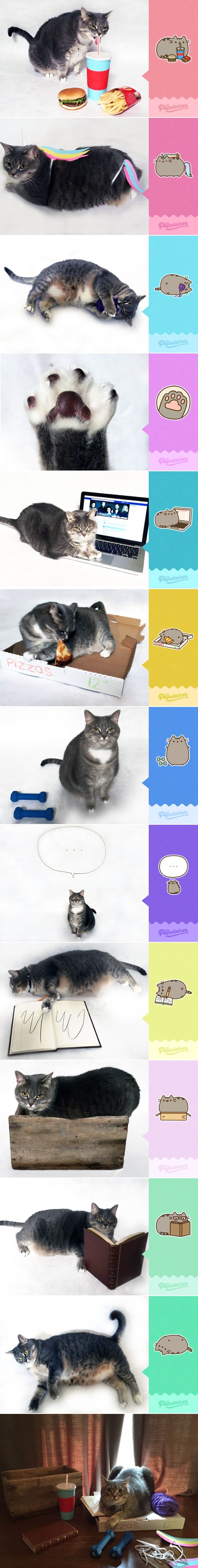 Najpoznatija Facebook maca u privatnom životu