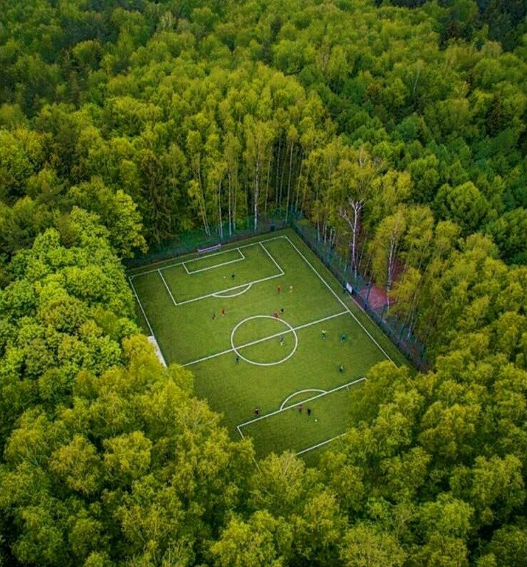 Nogometno igralište usred šume