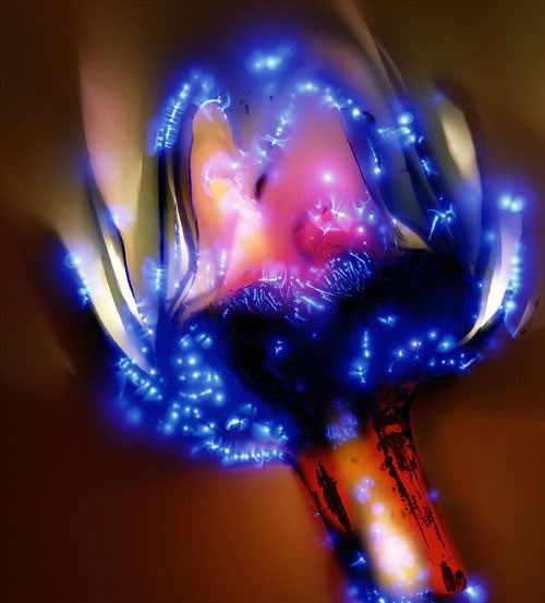 Smrtonosna ljepota: 80 000 volti pušteno kroz cvijet