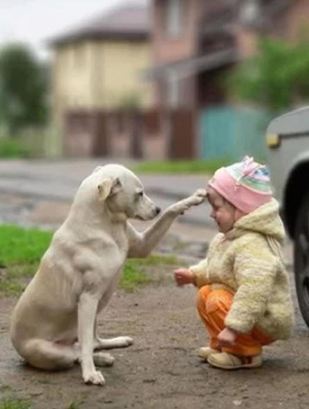 Imaš veliki mozak, malo, koristi ga kad narasteš