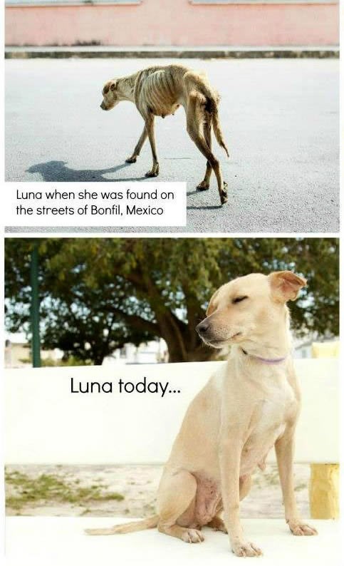 Ljepota skrivena u paklu gladi