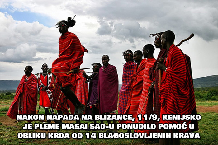 Pleme Masai Americi ponudilo nevjerojatno bogatstvo!