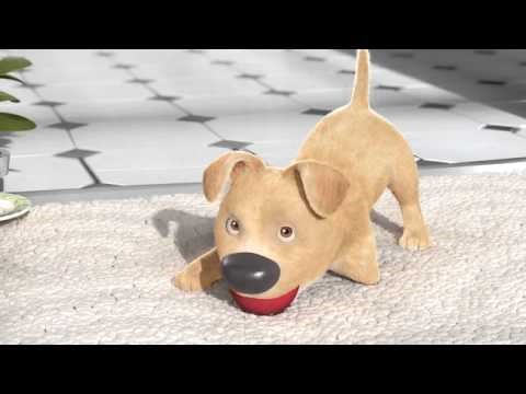 Kratki filmić o psiću bez noge ganuo je čitav svijet, pogledajte zašto