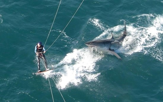 Izbjegao ralje morskog psa, a da nije ni znao