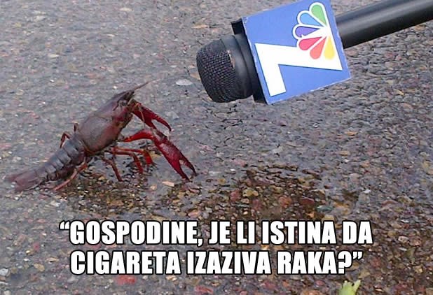 Rak dao odgovor na vječitu dilemu s cigaretama