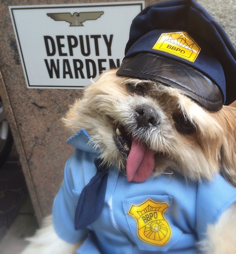 Najslađi zamjenik šerifa prvi radni dan na poslu