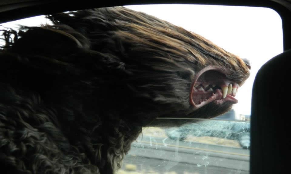 Gazdaaaa, prebrzooooo ideeeš!