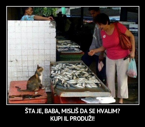 Nervozna mačka prodaje svoj ulov na placu