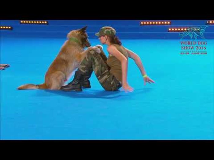 Fantastični pametni pas izveo koreografiju "oživljavanja" vojnikinje i osvojio srca svijeta!