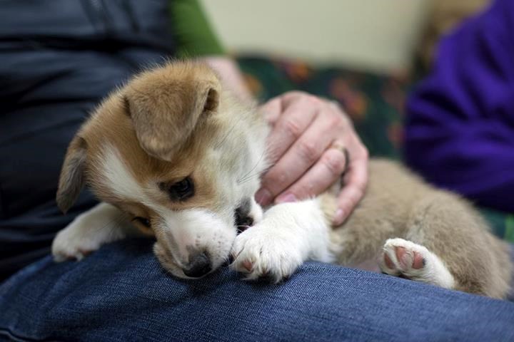 Opet maženje?? Ajoj, život je težak..