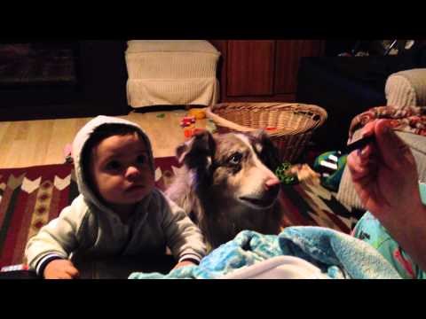 VIDEO: Ma 'ko će čekat da beba progovori, on je progovorio umjesto nje