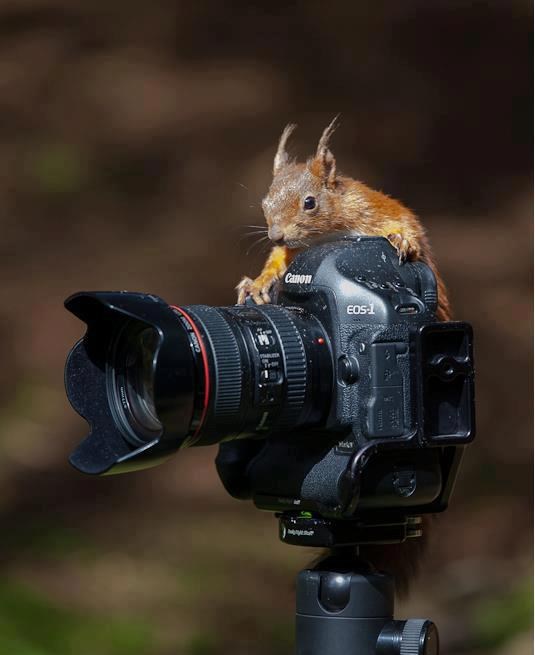 Ček, ček, malo fokus, malo zumiram, aj sad duckface!