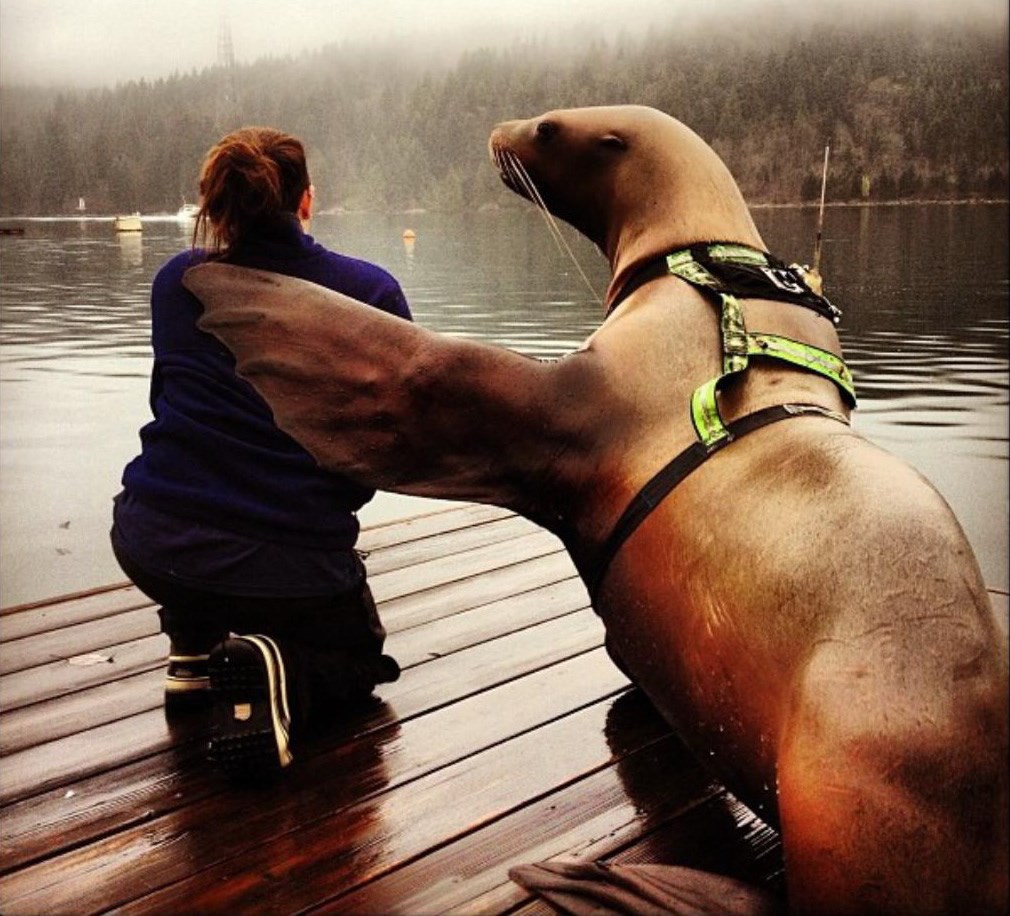 Pusti debila, Mirjana.. nego, šta radiš večeras?