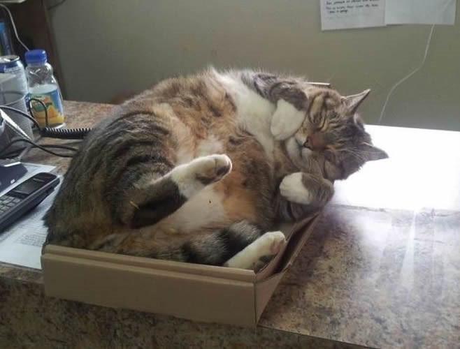 Opsjednutost kutijama teže objasniti nego cijeli svemir