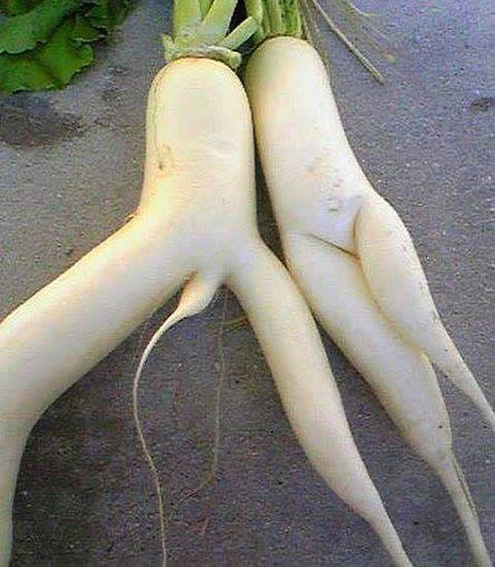 Veganska pornjava