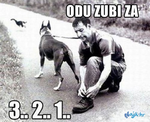 A čovjek je navodno inteligentno biće..