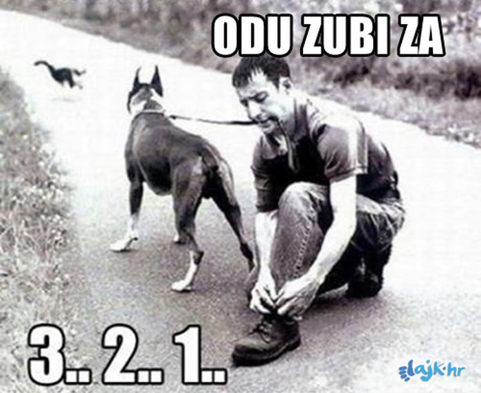 A čovjek je navodno inteligentno biće..