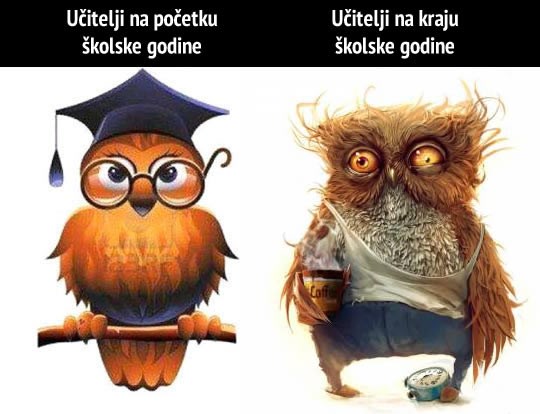 Nova školska godina: Učitelji, je li ovo istina?