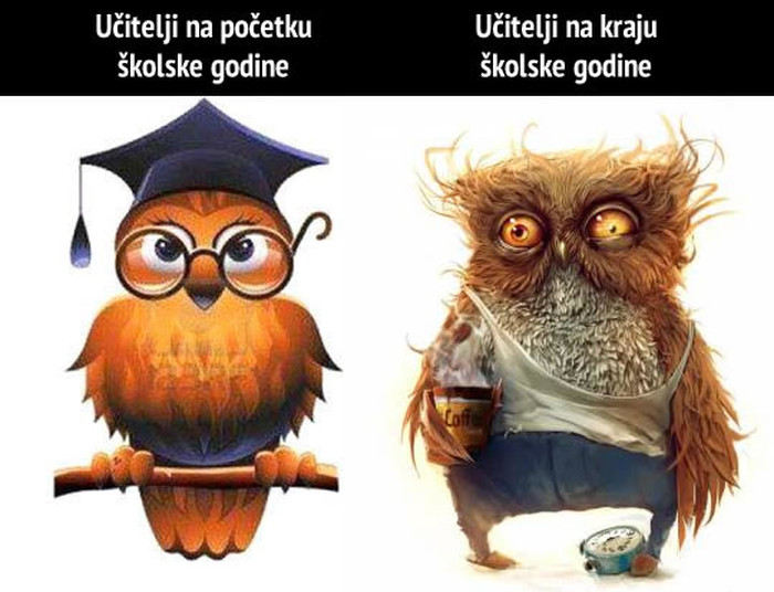 Nova školska godina: Učitelji, je li ovo istina?