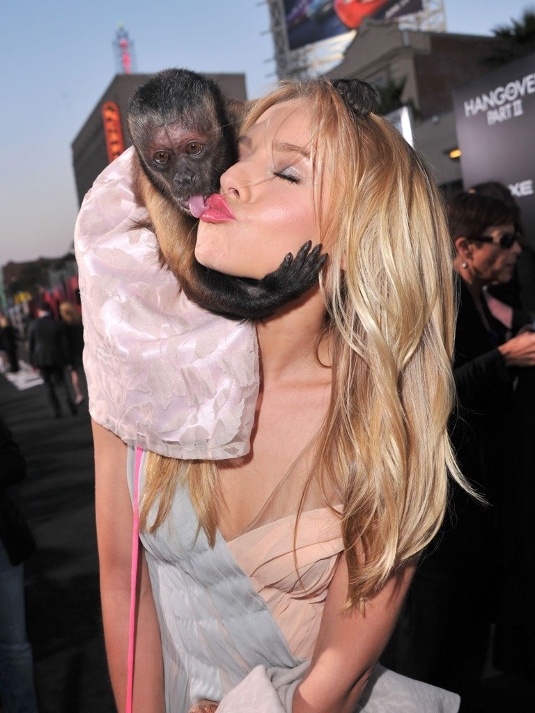 Frendice se vani ljubakaju i privlače pažnju