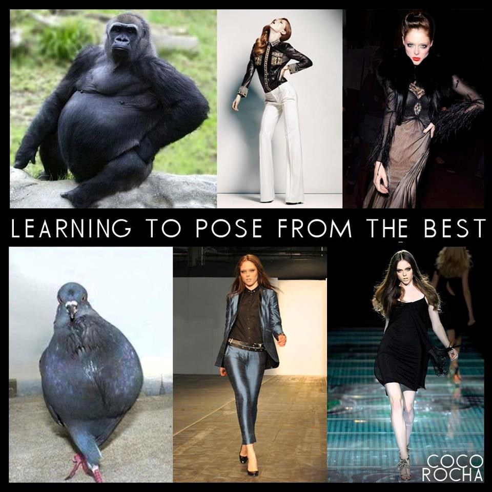 Otkriveno kako su nastale poze za modele