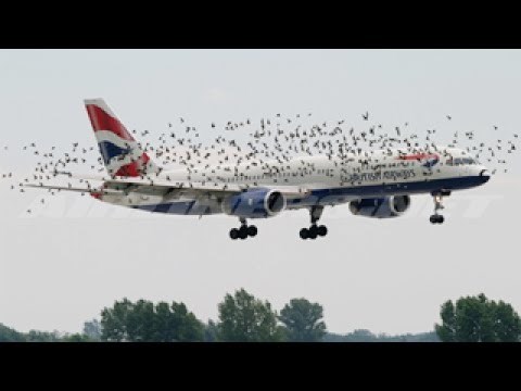 VIDEO Da ne postoje snimke, nikada ne biste povjerovali da su se ove stvari zaista dogodile!