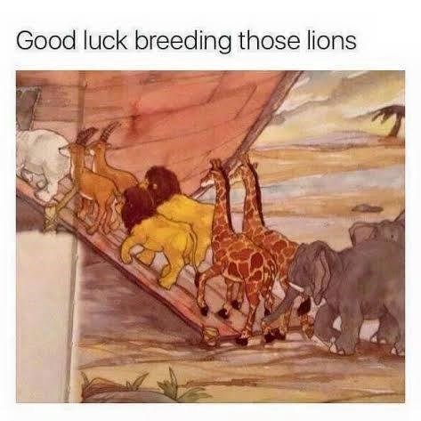 GEJ LAVOVI U BIBLIJI? Sretno s parenjem dva mužjaka