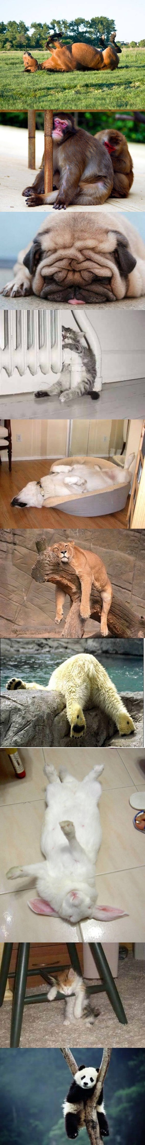 tek sredina tjedna, a ti se ovako osjećaš..