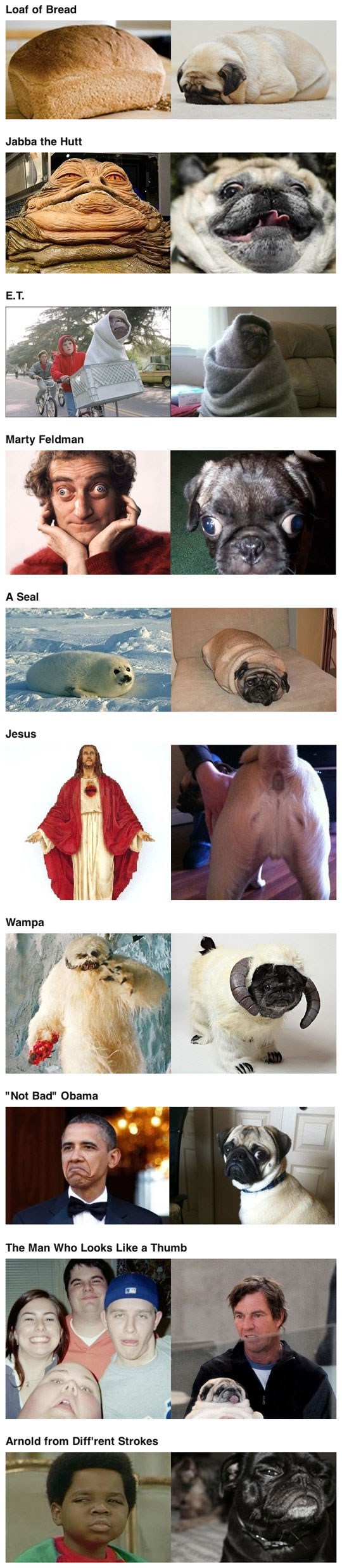 Mops je univerzalna građevna jedinica stvari