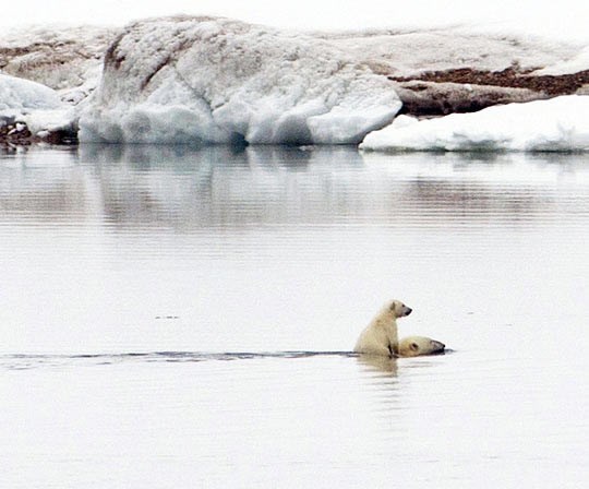 Što bismo bez jakog tate