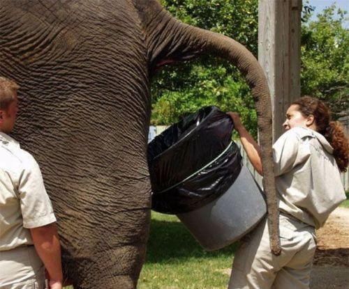 Najgori posao na svijetu?