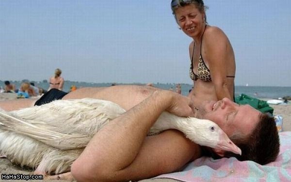 Kad ne želiš imati psa ko ostali normalni ljudi.