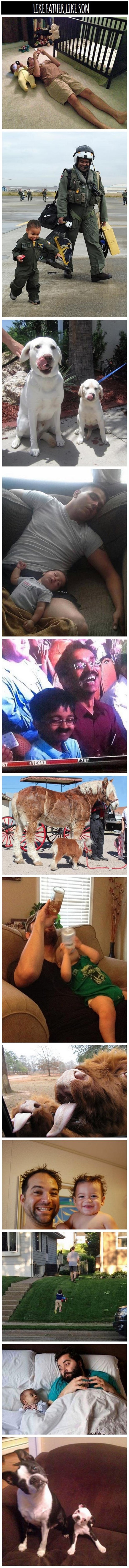 Galerija: Kakav tata, takav sin