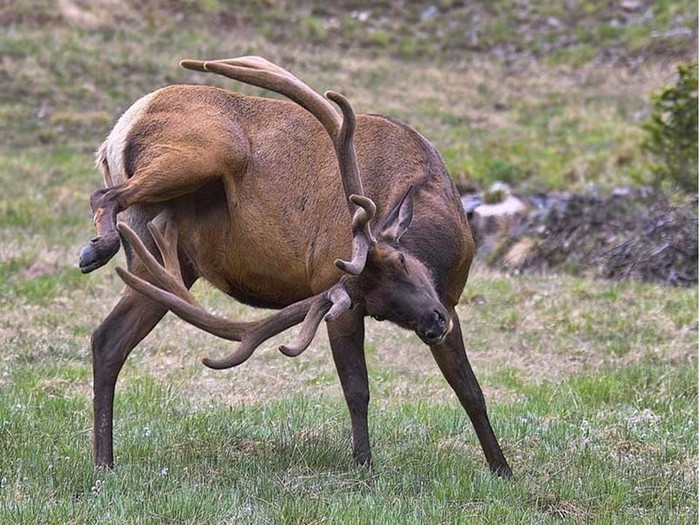 Ma svi su mužjaci isti: Pogledaj taj izraz zadovoljstva